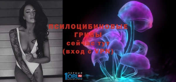 крисы Богданович