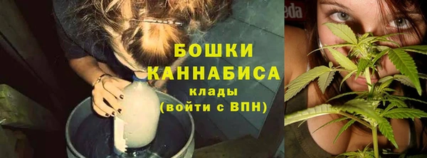 крисы Богданович