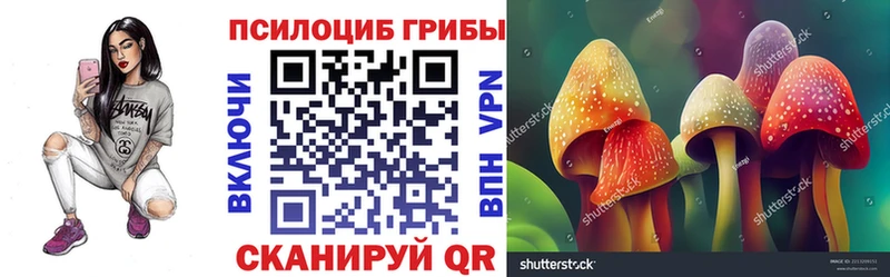 Псилоцибиновые грибы ЛСД  купить наркотики цена  МЕГА сайт  Кимовск 